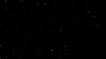 animerad täcka över av filma spannmål och signal ljud på svart bakgrund. dynamisk textur med analog digital distorsion artefakter, damm partiklar och tekniskt fel effekt för redigering och stiliserade projekt video