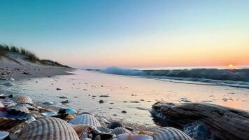 lugn hav vågor slinga animering försiktigt knä en sandig sömlös looping 4k Time-lapse virtuell animering bakgrund. video