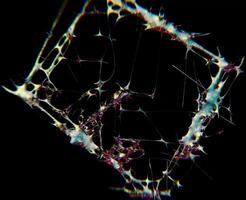 roligt design av syntetisk kromtyp trogen y2k looping design element bakgrund video