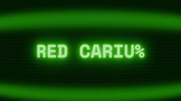 vieux vert crt écran montrant texte rouge tapis apparaissant dans Aléatoire pépin et codage style video