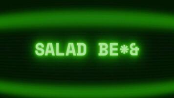 alt Grün crt Bildschirm zeigen Text Salat Schüssel erscheint im zufällig Panne und Codierung Stil video