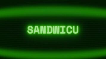 vecchio verde crt schermo mostrando testo Sandwich apparendo nel casuale problema tecnico e codifica stile video