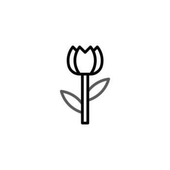 elegante tulipán flor diseño un sencillo gráfico representación de primavera con Delgado línea estilo vector
