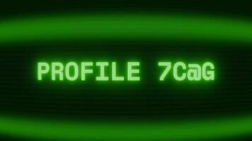 vecchio verde crt schermo mostrando testo profilo Visualizza apparendo nel casuale problema tecnico e codifica stile video