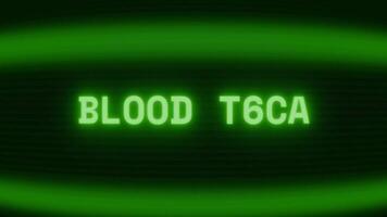 velho verde crt tela mostrando texto sangue teste aparecendo dentro aleatória falha e codificação estilo video