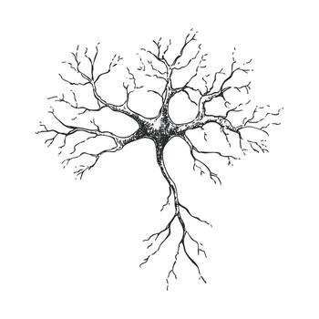 Intricate neural network design showcasing connectivity and structure vector