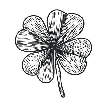 Four leaf clover for luck and good fortune design element vector