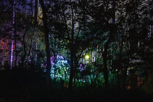 Dense trees glow with multicolored lights at night in Osaka's World Expo 2025. A modern grid like structure is visible in the background. photo