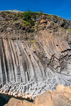 Hexagonal basalt columns curve across a cliff in Iceland, midday light reveals gray to rust tones, sparse shrubs cling to ledges, waterline marks the lower rock. photo