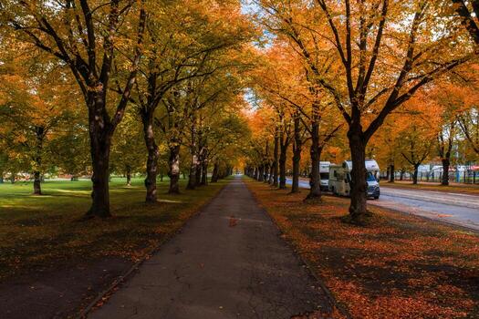 Rows of golden trees form a tunnel over a long path in Riga, Latvia. A quiet street with parked vehicles sits right, open grass lies left, on a crisp fall day. photo