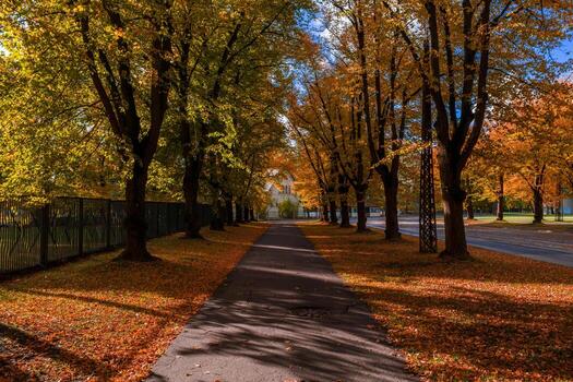 A tree lined path in Riga, Latvia extends toward a light building, with a fence left and a quiet street right. Golden leaves and dappled light create depth and order. photo