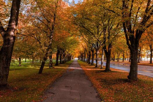 A tree lined path in a Riga park extends toward a vanishing point, rows of autumn trees glow, a roadway runs at right, late afternoon light casts dappled patterns photo