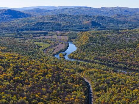 vistoso otoño bosque con fluido río desde encima vibrante otoño bosque con un devanado corriente aéreo ver de multicolor otoño arboles y río foto