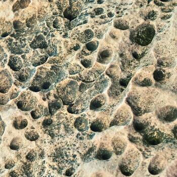 de cerca de erosionado rock superficie con único deshuesado patrones y texturas en natural ambiente. foto