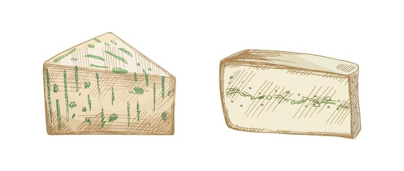 Artisan cheese selection with unique textures vector