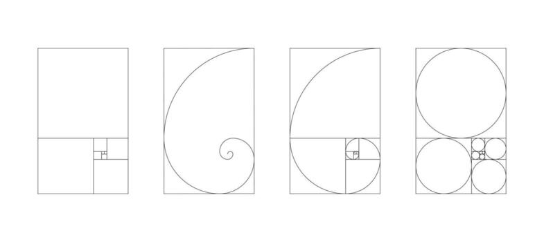 Vertical Fibonacci numbers array set of 4 elements. Golden ratio harmony proportions templates. vector