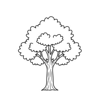 negro y blanco línea Arte de un árbol con hojas y trompa. adecuado para colorante páginas, botánico estudios, educativo materiales, y eco-temática gráfico diseños vector