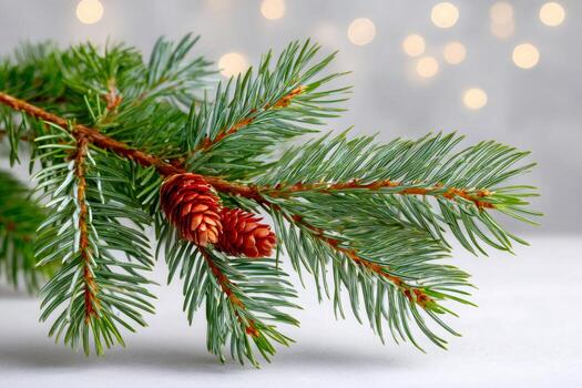 Spruce branch with pinecones and bokeh lights photo