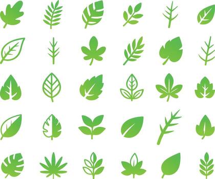 Respetuoso del medio ambiente naturaleza diseño elementos para orgánico y natural proyectos, un colección de verde hoja iconos, y diferente hoja formas y botánico símbolos aislado en un blanco fondo. vector