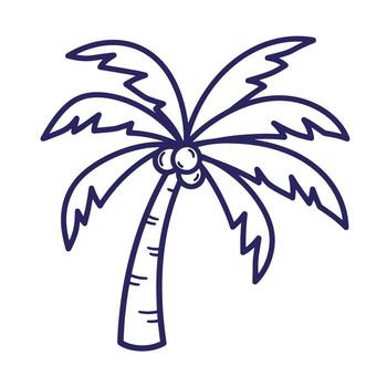 Simple doodle outline drawing of a tropical palm tree with coconuts for design elements vector
