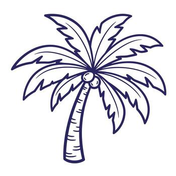 Simple doodle outline drawing of a tropical palm tree with coconuts on white background vector