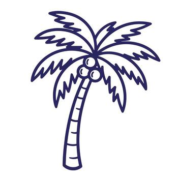 Simple doodle outline drawing of a tropical palm tree with coconuts for design vector