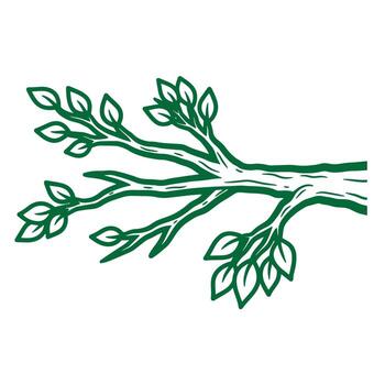 Hand drawn illustration of a tree branch with green leaves on a white background vector