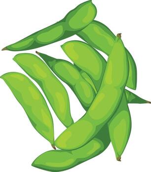 A vibrant illustration of several green edamame pods, some open and some closed, arranged in a loose pile. vector