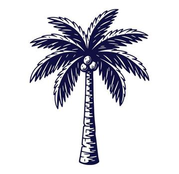 Detailed illustration of a beautiful palm tree with coconuts on a white background vector