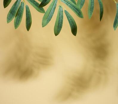 Soft, blurred shadows of leaves are cast across a solid light yellow background, creating a subtle and organic texture with copy space photo
