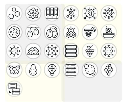 25 Retina Ready Regular Line Icons optimized for Cluster Pixel Optimized display vector