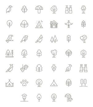 Forest Scalable Set featuring 40 Editable Thin Line 64x64 Icons vector