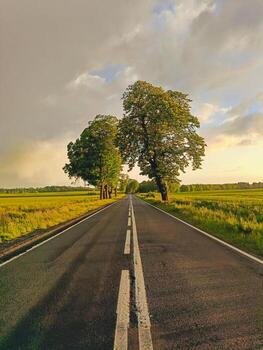 Derecho país la carretera con un doble blanco línea extensión dentro el distancia, forrado con verde arboles y campos debajo dramático noche cielo. concepto de viaje, viajar, libertad, y dirección. foto