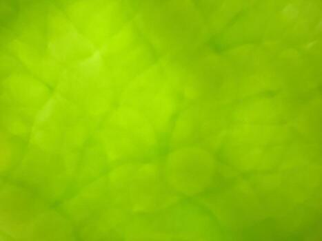 Bright Green Abstract Background with Soft Light Texture for Design and Nature Concepts photo