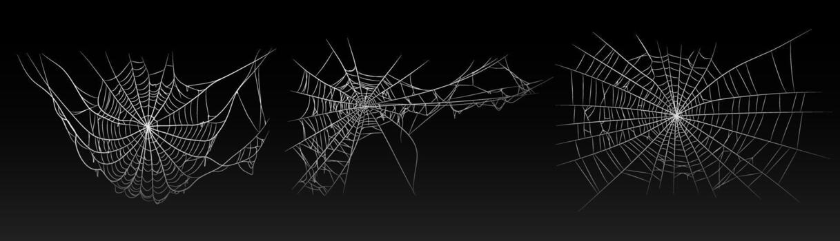 Halloween old spooky cobweb with various sizes and shapes set vector
