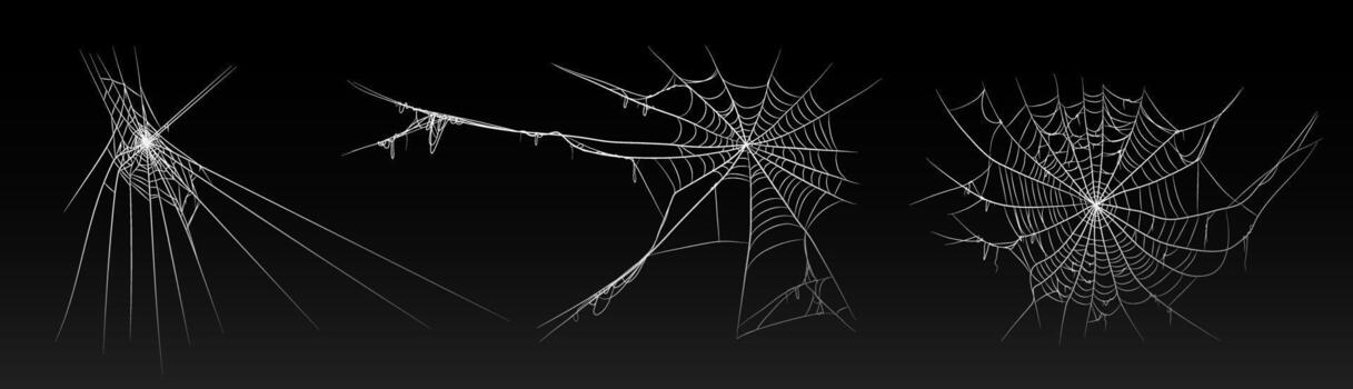 Halloween old spooky cobweb with various sizes and shape. vector