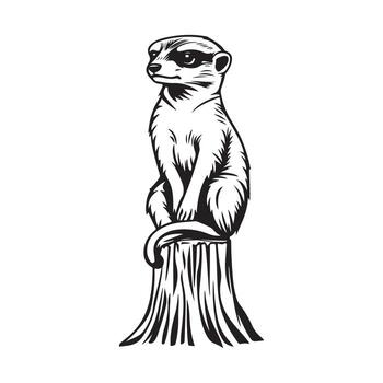 Curious Meerkat Standing Tall on Tree Trunk Image vector