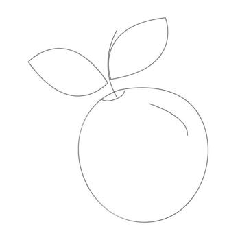 A drawing of a fruit with a drawing of a fruit on it vector