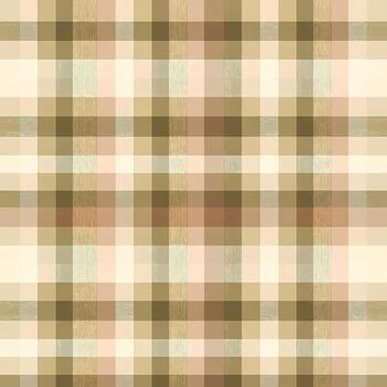 eterno tartán modelo presentando un sin costura a cuadros diseño con cálido, terroso tonos de marrón, beige, y crema, ideal para varios digital gráfico proyectos, antecedentes, o textil huellas dactilares vector