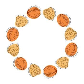 Circular wreath with walnut and kernel on a white background in a flat style. vector