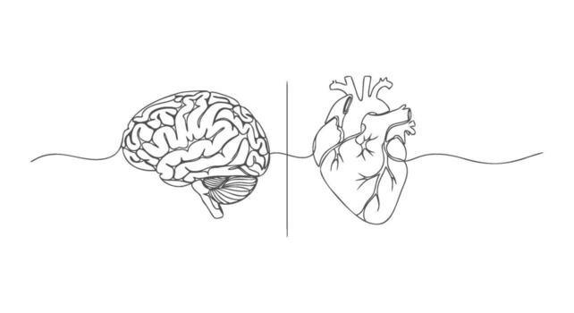One Continuous Line Art Brain and Heart Connection vector