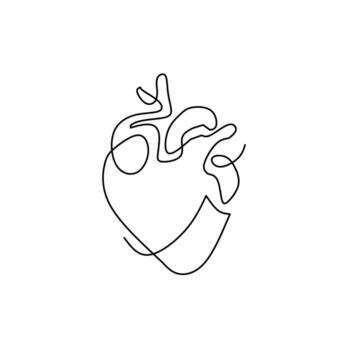 Minimalist, continuous line drawing of an anatomical heart, conveying simplicity and connection. Single stroke art. vector