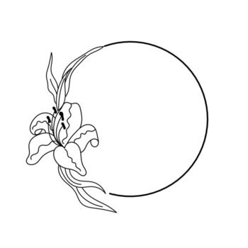 a circle frame adorned with a blooming lily flower and flowing leaves on the left side line art design vector