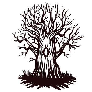 Ancient leafless twisted tree with textured bark and exposed roots in black engraving illustration vector