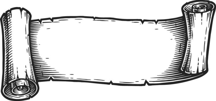 Art of blank scroll banner vector