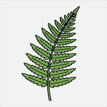 Illustration of a Green Fern Leaf with Simple Background vector