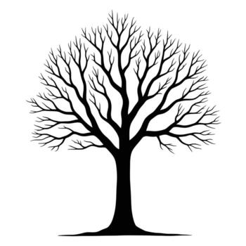 un detallado silueta de un desnudo caduco árbol con intrincado derivación patrones en contra un blanco antecedentes vector