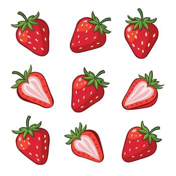 Collection of whole and halved ripe red strawberries with green leafy tops arranged in a grid pattern on a white background vector