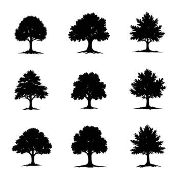Collection of nine distinct deciduous tree silhouettes with visible root systems and textured foliage vector