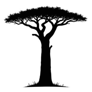 Silhouette of a distinctively shaped acacia tree with a broad canopy and a thick trunk standing on a grassy ground vector
